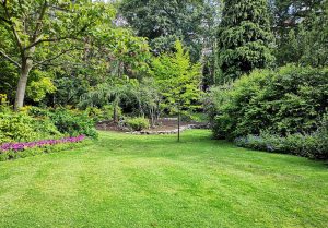 Optimiser l'expérience du jardin à Villeneuve-les-Maguelone